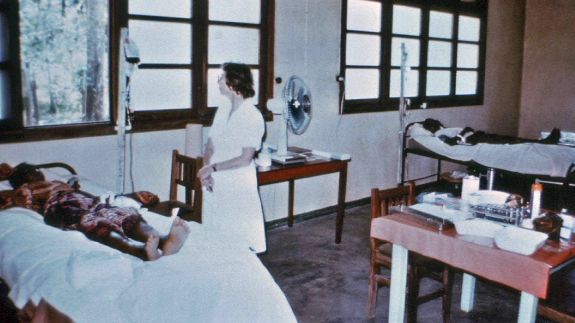 Çin’deki Hebei Tıp Fakültesi’nden