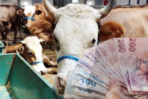 16 Milyon Emekliye Müjde: Bayram İkramiyesi Alma Süreci Başladı