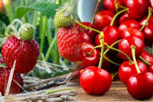 Denizli’de Çilek ve Kiraz Üreticileri: Fiyatlar Düşerken Sabrımız Tükeniyor