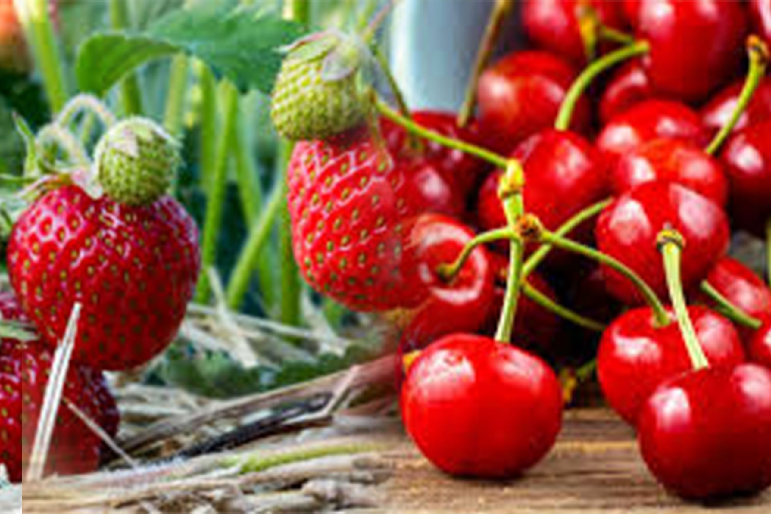 Denizli, Türkiye – Denizli’deki