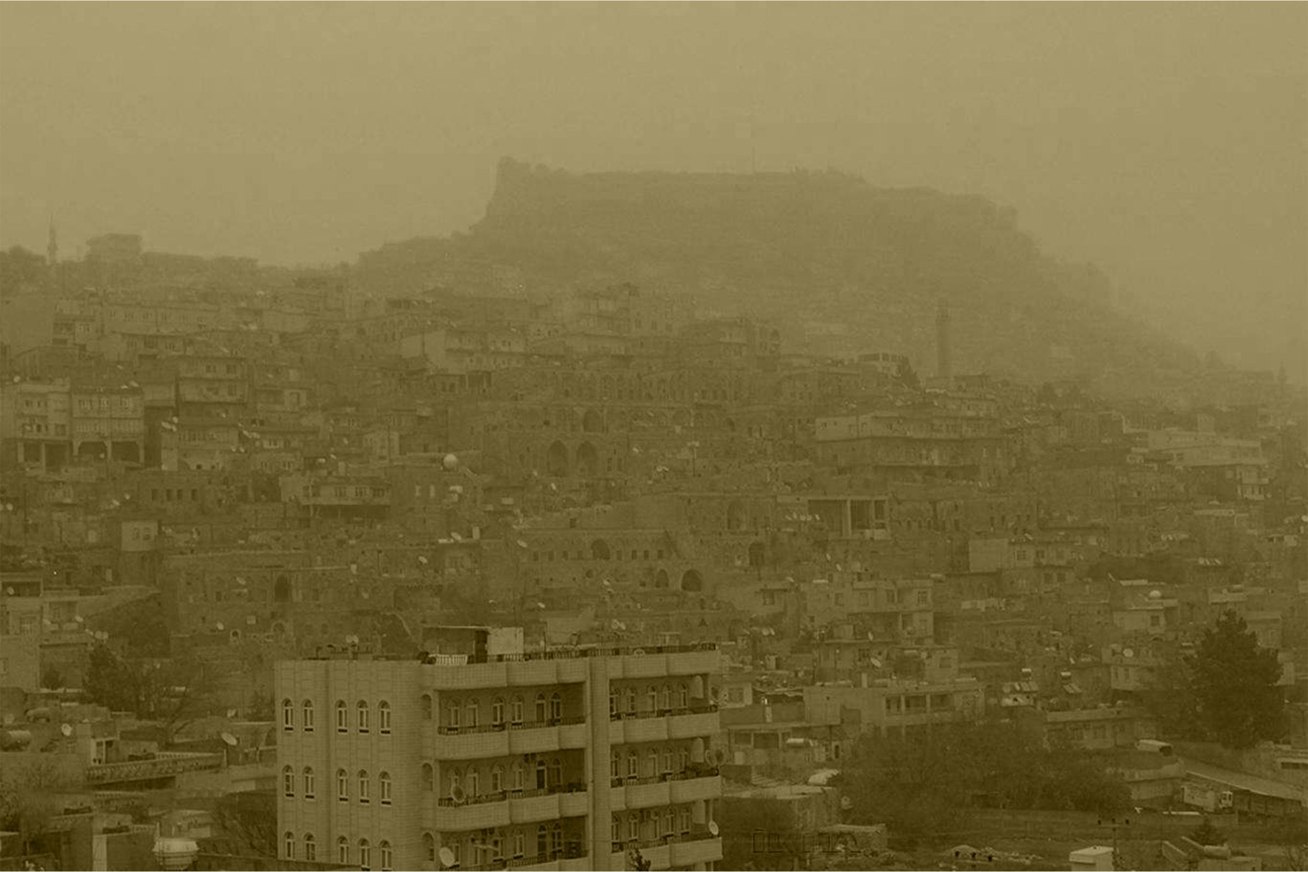 Türkiye Bilimler Akademisi (TÜBA)