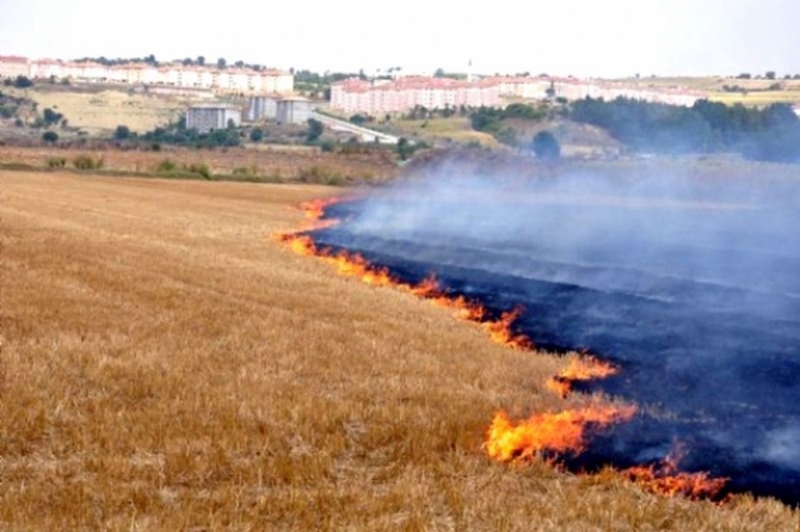 Diyarbakır ve Mardin sınırındaki köylerde