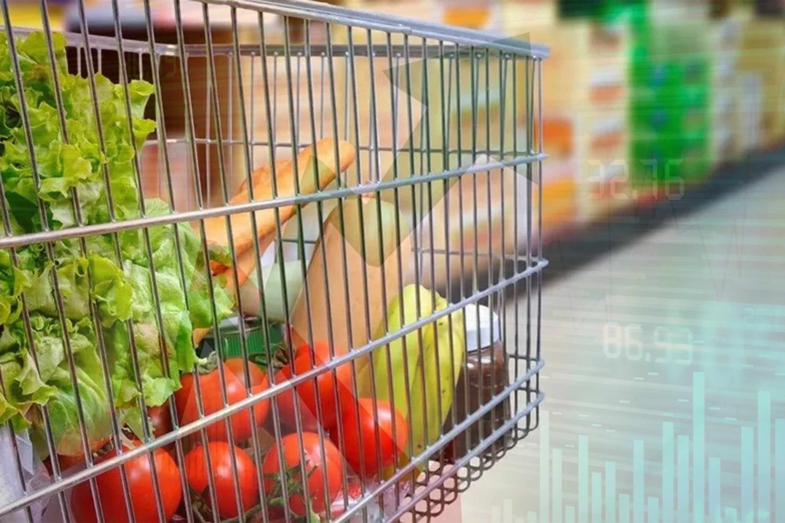 Türkiye İstatistik Kurumu (TÜİK), 2024