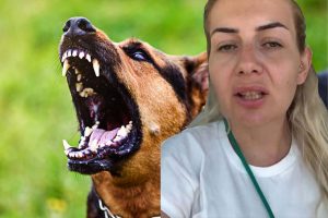 Kuduz Köpeklerine Para Topluyorum Diyen Kişinin Emlak Zengini Olduğu Ortaya Çıktı
