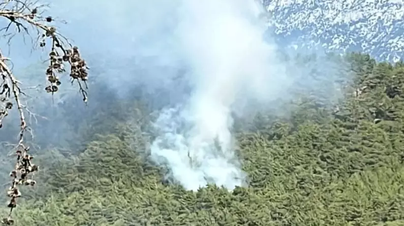 Çanakkale, İstanbul, Muğla, Sinop ve