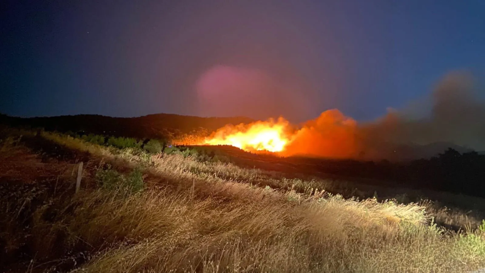 Türkiye’nin batı ve güney bölgelerinde