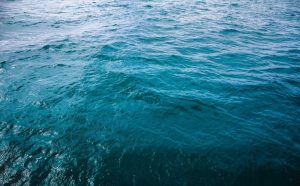 Karadeniz’de Tehlike! Dört İlde Denize Girmek Yasaklandı