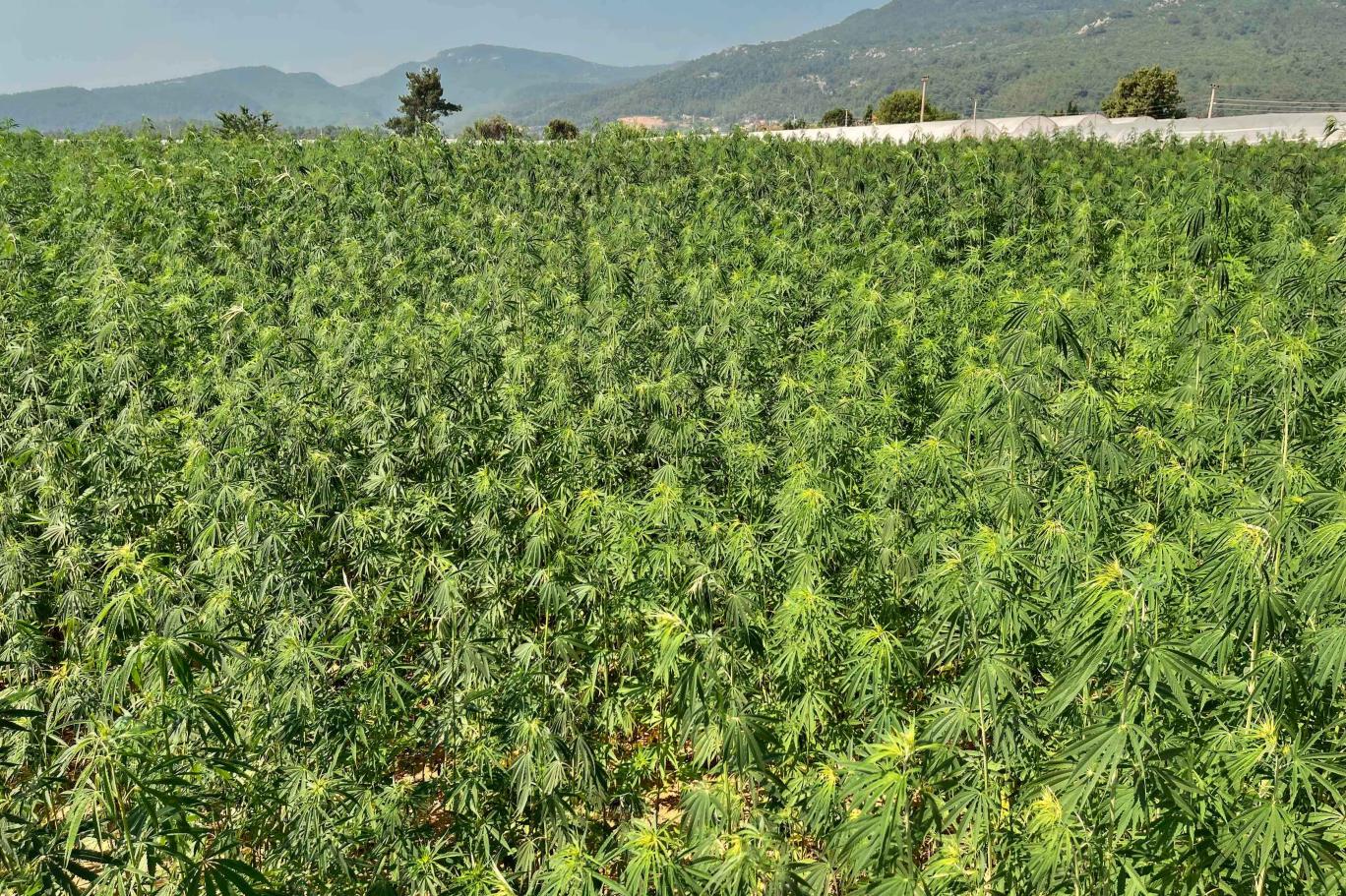 Edirne’de jandarma ekipleri, bir