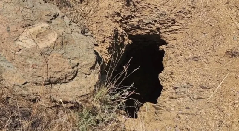 Milli Savunma Bakanlığı’nın yaptığı