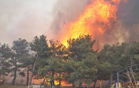 Çanakkale Çıkan Yangın Korkuttu