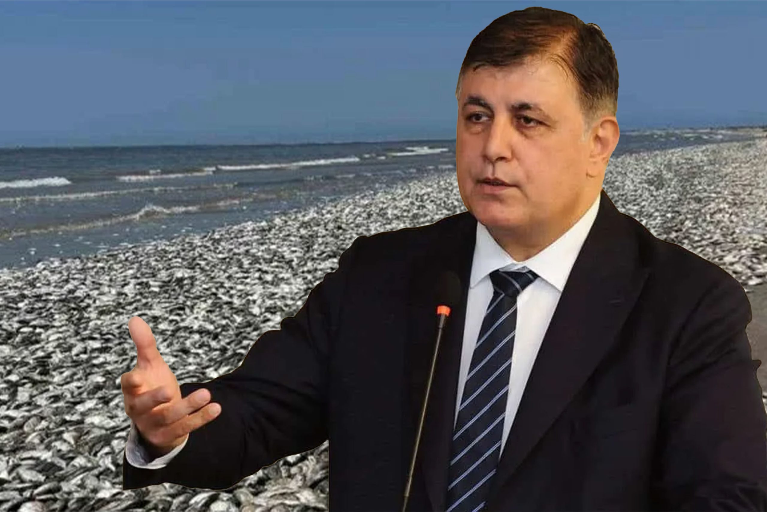 İzmir Körfezi’nde Balık Ölümleri Devam Ederken Başkan Tugay Umudunu Kaybetti İzmir’in sembolü haline gelen