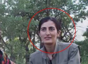 PKK/KCK Sorumlusu Gülistan Tekik Etkisiz Hale Getirildi