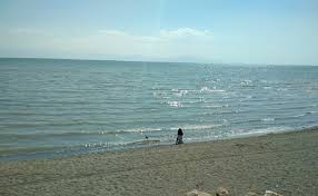 Dünyanın en büyük sodalı