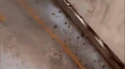 İstanbul’un 39 ilçesinde hizmet