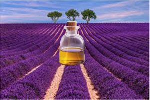 Lavantanın Sağlık Faydaları