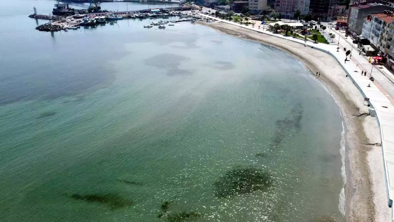 ODTÜ Deniz Bilimleri Enstitüsü