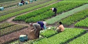 Tarım Alanında 4 İşbirliği Anlaşması İmzalandı