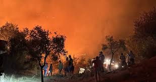 Afet ve Acil Durum Yönetimi