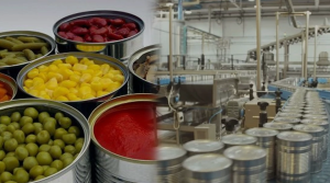 70 Yıllık Gıda Devi İflas Etti, Yüzbinler İşsiz Kaldı.