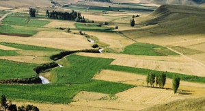 Kiralanmayan Tarım Arazileri Kiralanabilecek