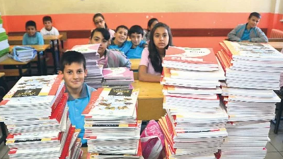 Milli Eğitim Bakanlığı (MEB), özel