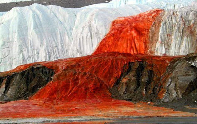 Antarktika’daki Kan Şelalesi: Doğanın Gizemli Güzelliği