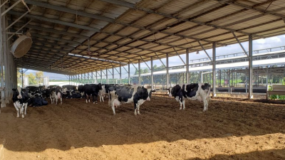 Denizli'nin Tavas ilçesindeki bir besihanede