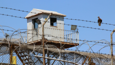 Adalet Bakanı Yılmaz Tunç, Anneler