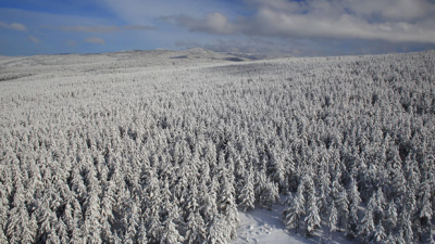 Bolu'nun yüksek kesimlerinde etkili olan