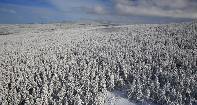 Bolu’da Kar Yağışıyla Beyaz Örtü Kaplandı