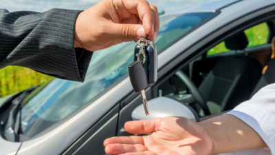 Milliyetçi Hareket Partisi (MHP), Türkiye