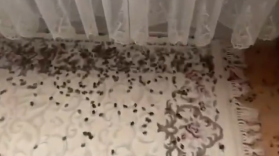 Ordu'da yaşayan vatandaşlar, havaların soğumasıyla