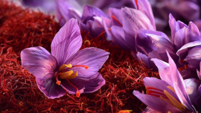 Tarım ve Orman Bakanlığı’nın sağladığı