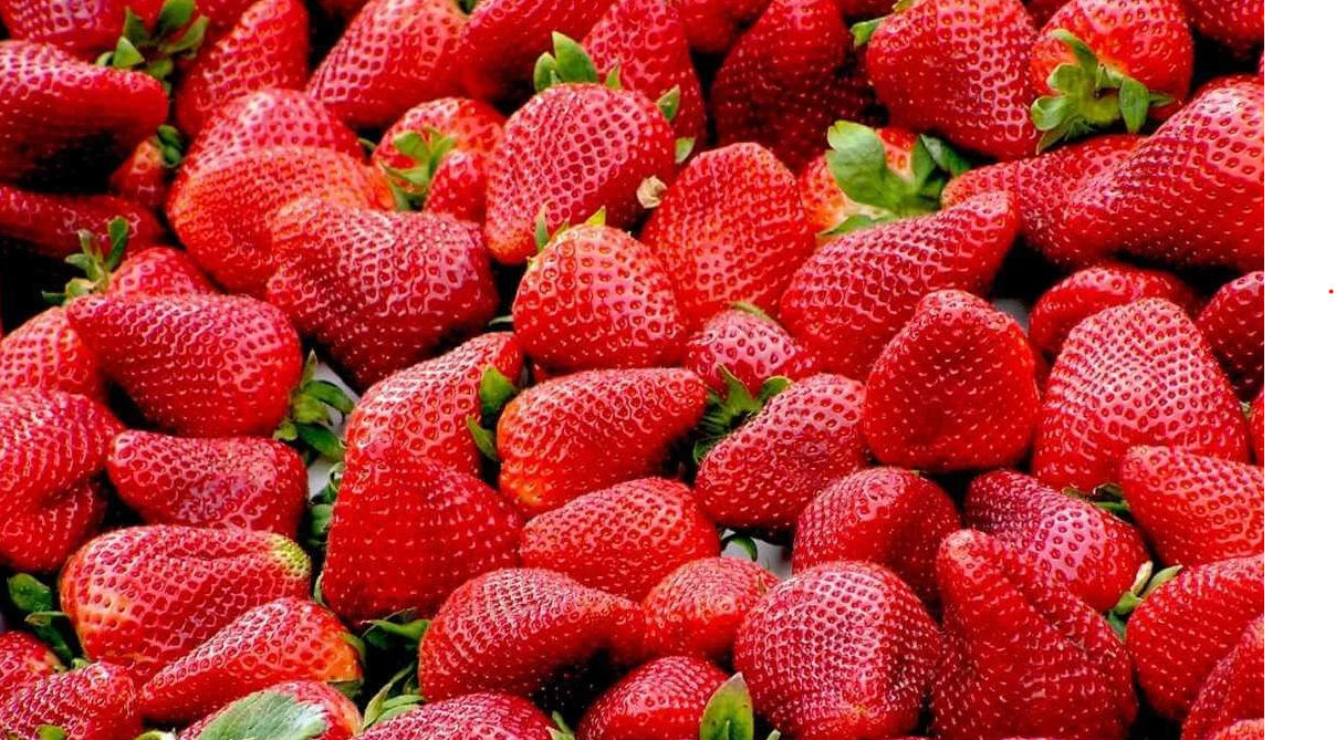 Fırtına Çileği Pahalı Yaptı: Antalya’da Kilo 400 TL’ye Çıktı