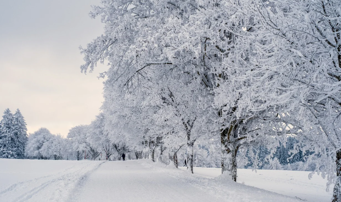 Beklenilen Kar Kapıda: Tarih Verildi