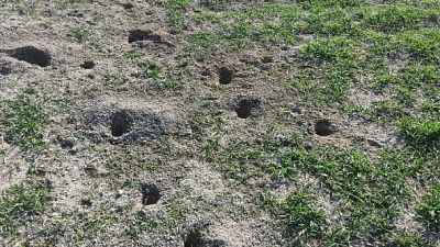 Fare deliklerine bir tüp yardımıyla