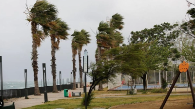 Meteoroloji Genel Müdürlüğü, Doğu Akdeniz’in
