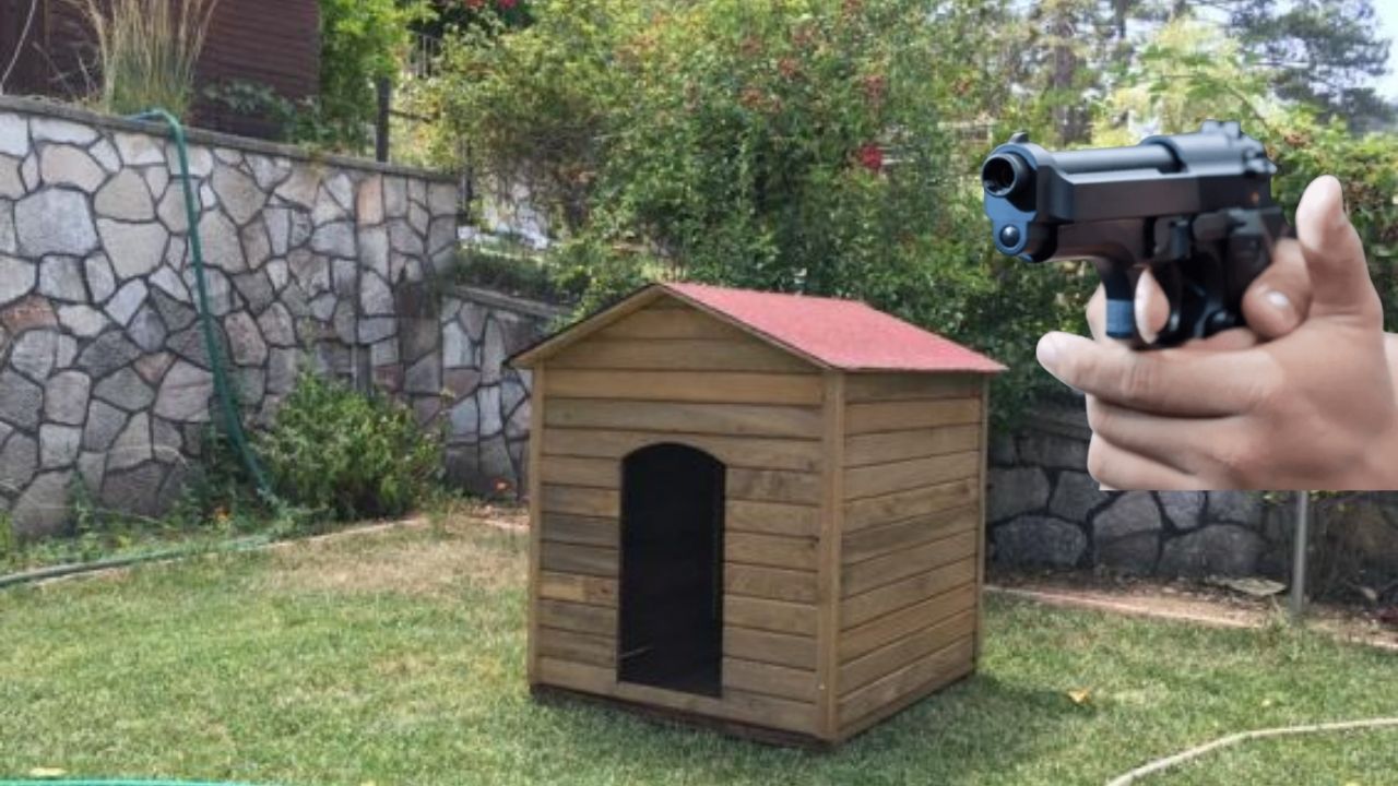 Antalya’da Emekli Polis Memuru, Havlayan Köpeği Silahla Öldürdü