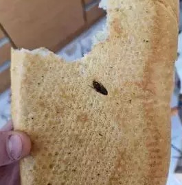Ekmekte Hamamböceği Şoku: Sosyal Medyada Tepki Yağdı