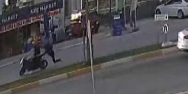 Antalya’nın Serik ilçesinde sahipsiz