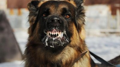 Hatay'ın Dörtyol ilçesine bağlı Özerli