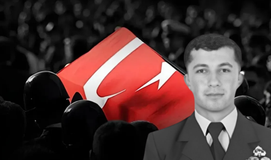 Milli Savunma Bakanlığı (MSB),