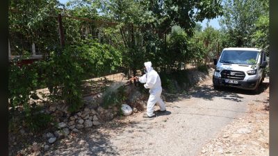 ANTALYA (KFK Ajans) – Antalya’nın