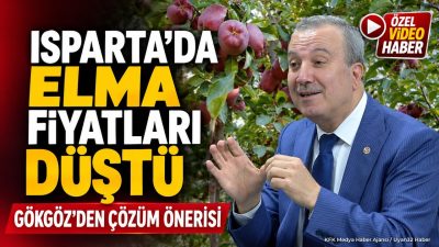 AK Parti Isparta Milletvekili Mehmet
