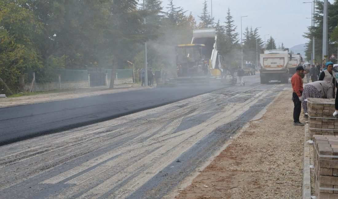 ŞARKİKARAAĞAÇ (KFK Ajans) –